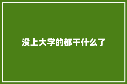 没上大学的都干什么了 未命名