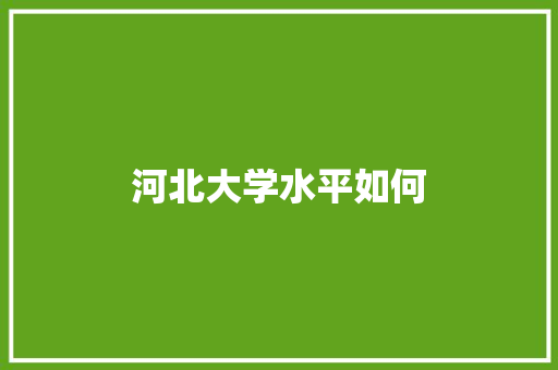 河北大学水平如何