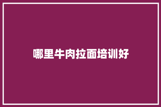 哪里牛肉拉面培训好 未命名