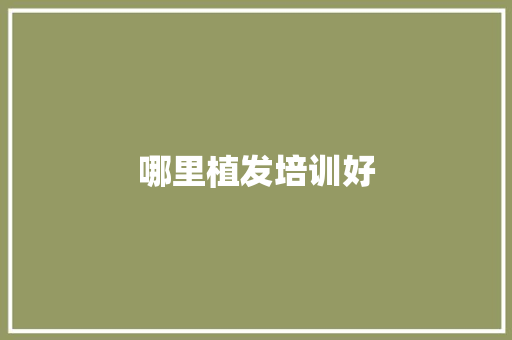 哪里植发培训好