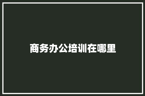 商务办公培训在哪里 未命名