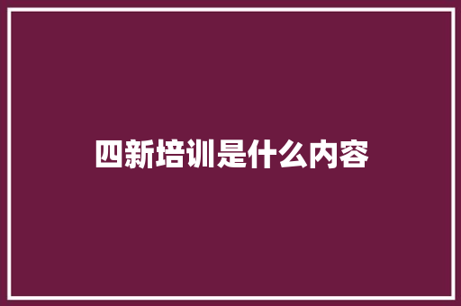 四新培训是什么内容