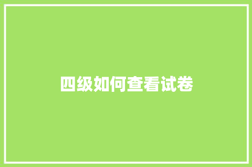 四级如何查看试卷 未命名