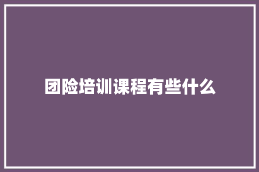 团险培训课程有些什么