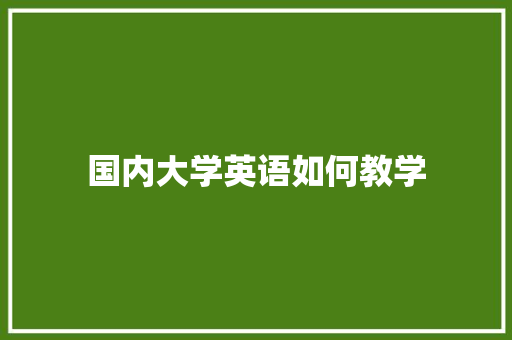 国内大学英语如何教学 未命名