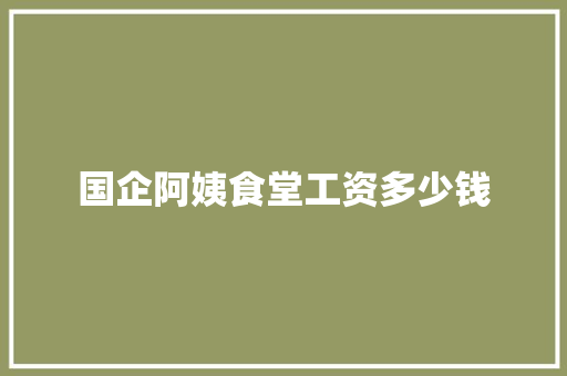 国企阿姨食堂工资多少钱