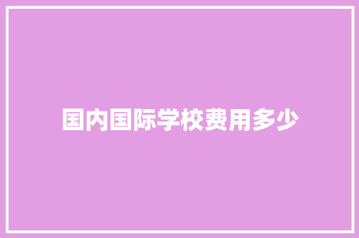 国内国际学校费用多少 未命名