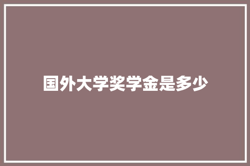 国外大学奖学金是多少