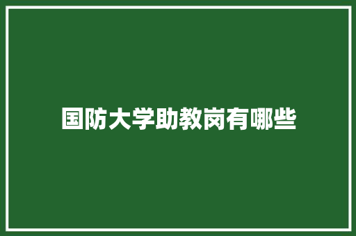 国防大学助教岗有哪些