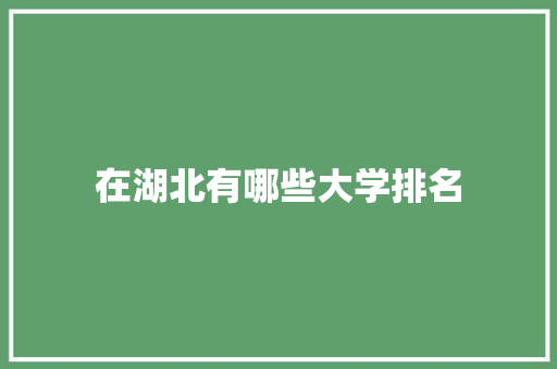 在湖北有哪些大学排名 未命名