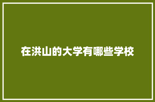 在洪山的大学有哪些学校 未命名