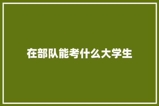 在部队能考什么大学生 未命名