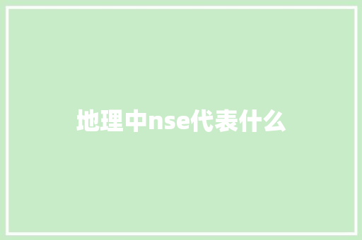 地理中nse代表什么