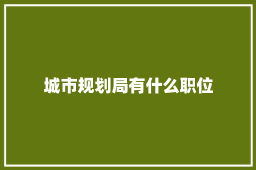 城市规划局有什么职位