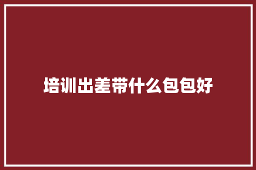 培训出差带什么包包好