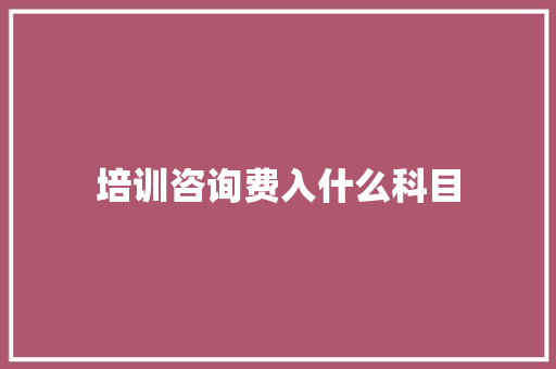 培训咨询费入什么科目 未命名