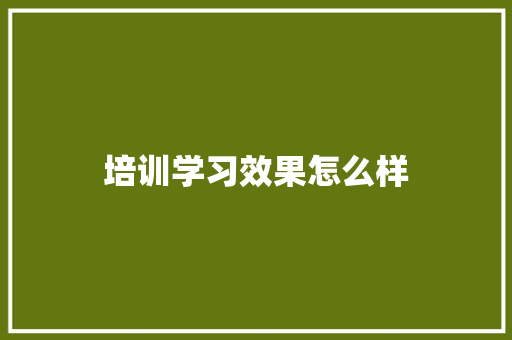 培训学习效果怎么样 未命名