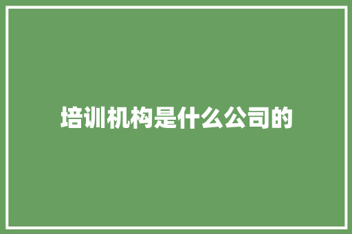 培训机构是什么公司的 未命名