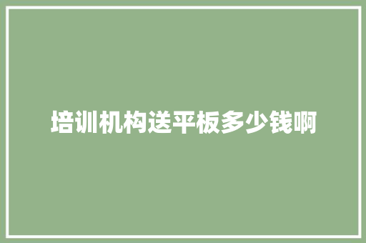 培训机构送平板多少钱啊