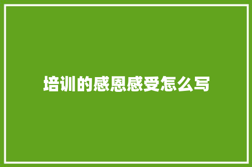 培训的感恩感受怎么写