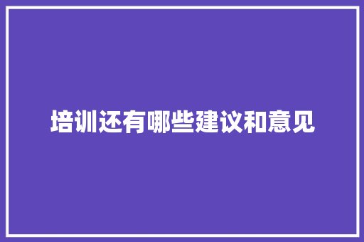 培训还有哪些建议和意见 未命名