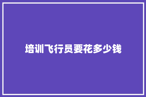 培训飞行员要花多少钱 未命名