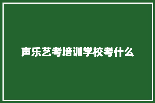 声乐艺考培训学校考什么 未命名