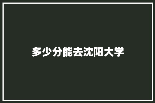 多少分能去沈阳大学 未命名