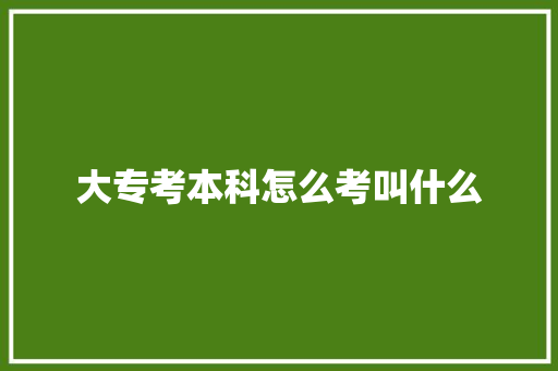 大专考本科怎么考叫什么 未命名