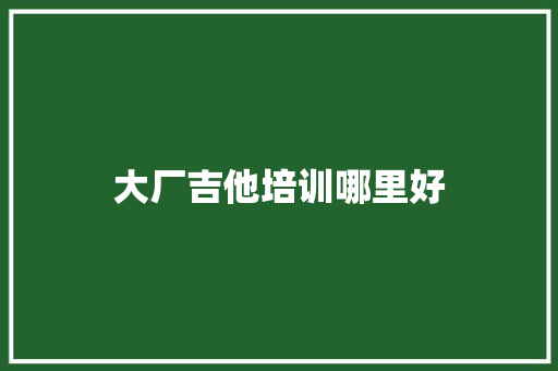 大厂吉他培训哪里好 未命名