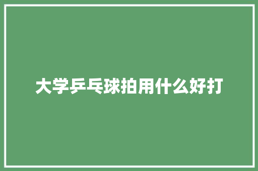 大学乒乓球拍用什么好打