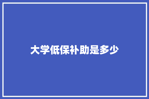 大学低保补助是多少 未命名