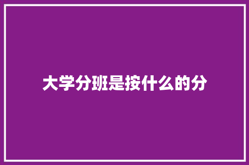 大学分班是按什么的分