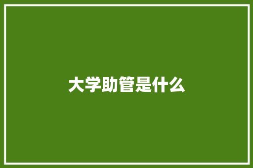 大学助管是什么 未命名