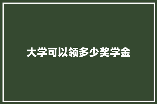 大学可以领多少奖学金 未命名