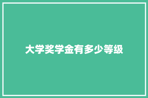 大学奖学金有多少等级 未命名