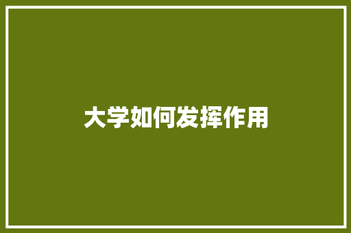 大学如何发挥作用 未命名