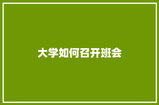 大学如何召开班会