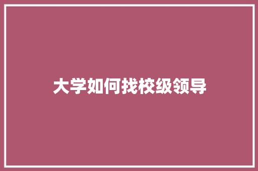 大学如何找校级领导 未命名