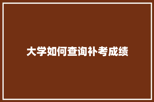 大学如何查询补考成绩