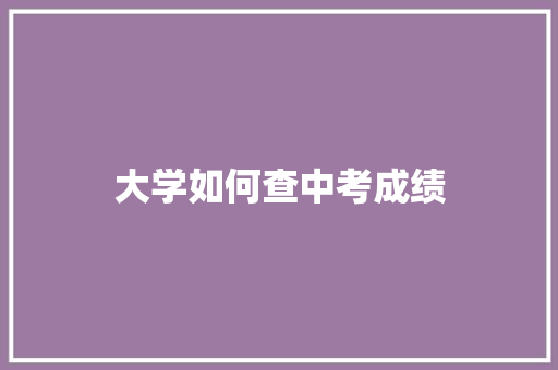 大学如何查中考成绩