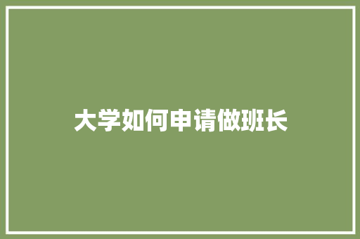 大学如何申请做班长