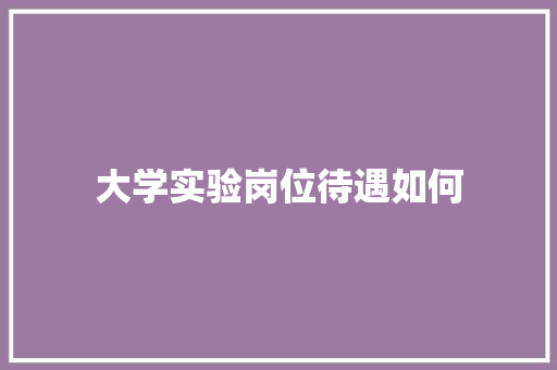 大学实验岗位待遇如何 未命名