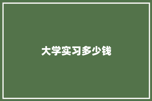 大学实习多少钱