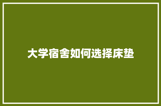 大学宿舍如何选择床垫