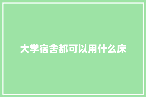 大学宿舍都可以用什么床 未命名