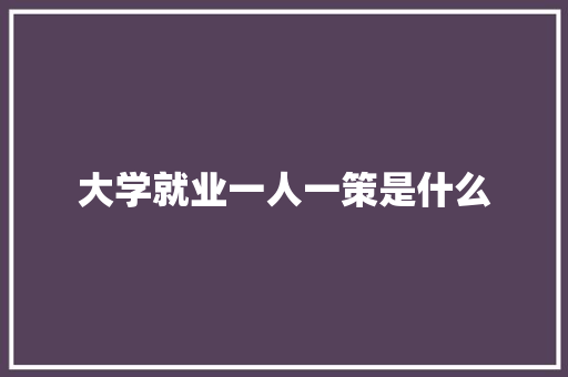 大学就业一人一策是什么 未命名