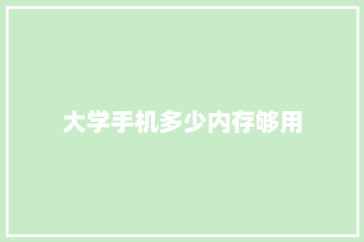 大学手机多少内存够用