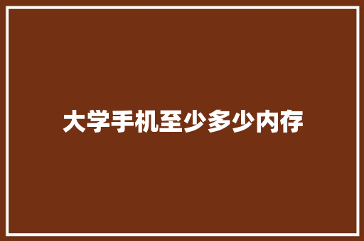 大学手机至少多少内存