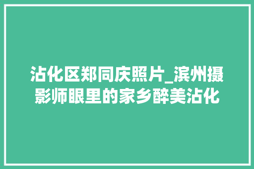 沾化区郑同庆照片_滨州摄影师眼里的家乡醉美沾化